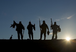 ТАЙМЫР. ИЮНЬ 2013