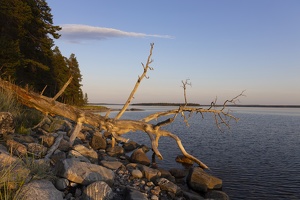 БЕЛОЕ МОРЕ. ИЮЛЬ 2019