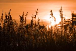 JURMALA. 2024